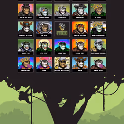 Primate Social Society #346