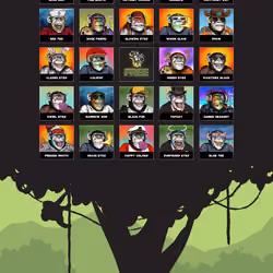 Primate Social Society #483