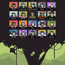 Primate Social Society #266