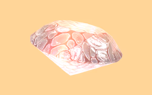 Item #92 Media