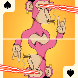 #333
