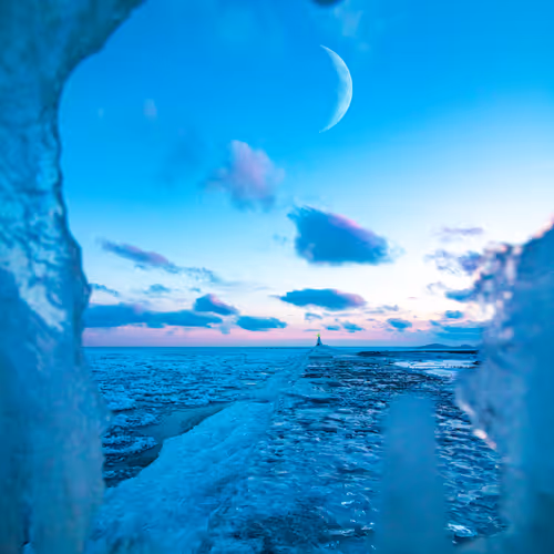 Polar Vortex