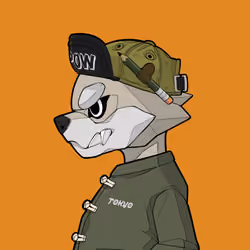  ROAR #11227