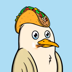 729
