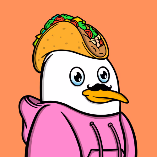 Alpha Gull #498