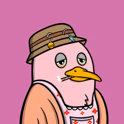 646