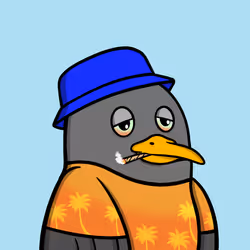 Alpha Gull #426