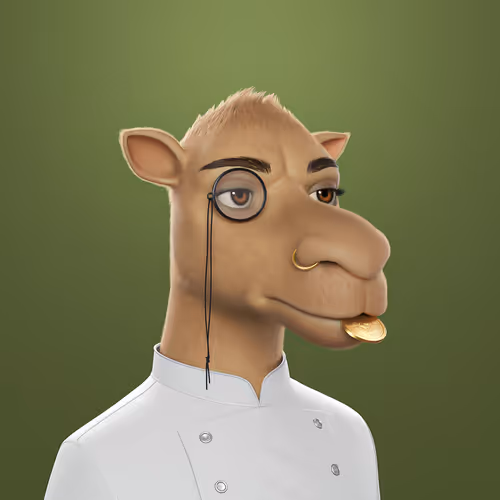 3dcamels 1