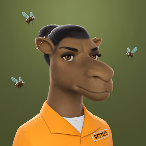 3dcamels 1
