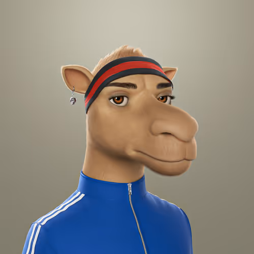 3dcamels 1