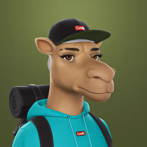 3dcamels 1
