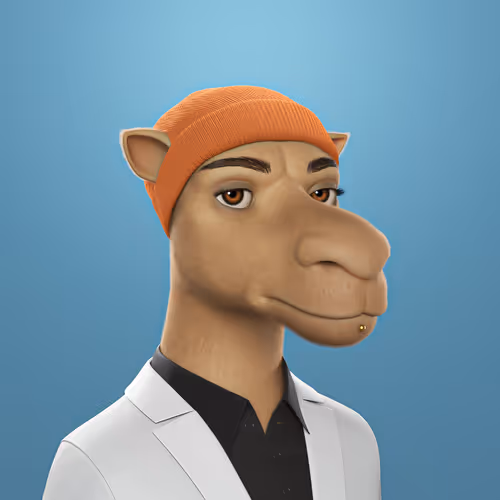 3dcamels 1
