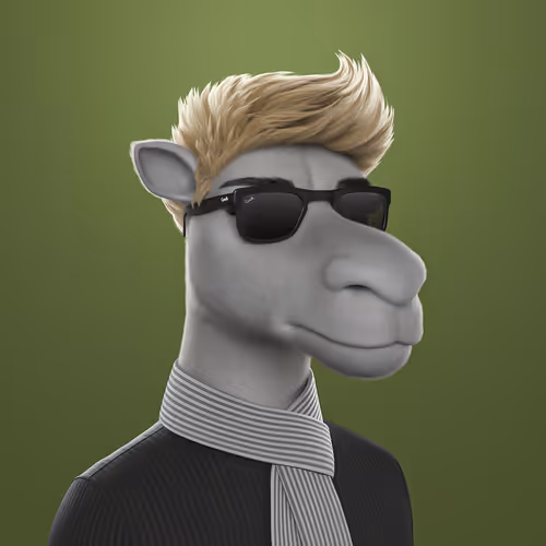 3dcamels 1
