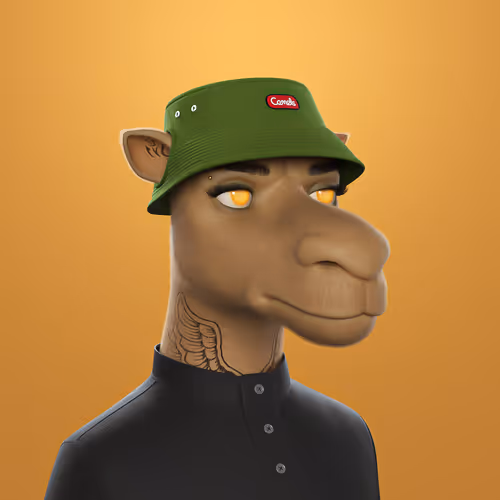 3dcamels 1