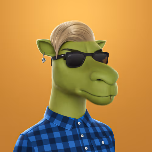 3dcamels 1