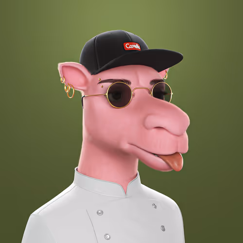 3dcamels 1