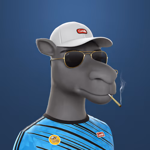 3dcamels 1