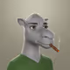 1153