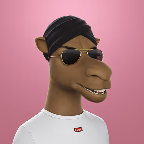 3dcamels 1