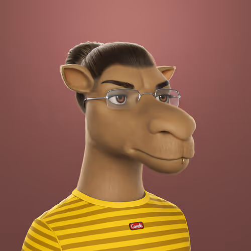 3dcamels 1