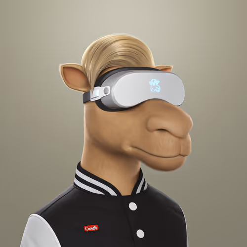 3dcamels 1