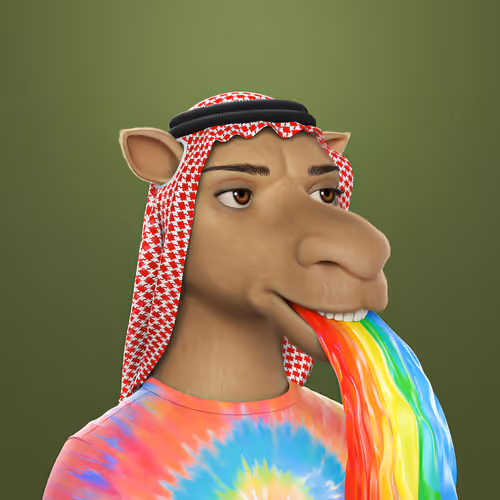 3dcamels 1
