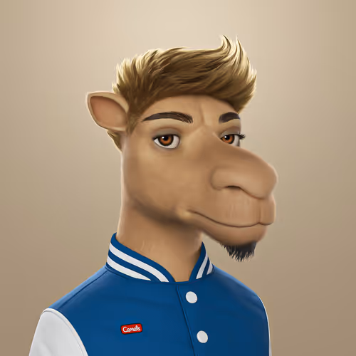 3dcamels 1
