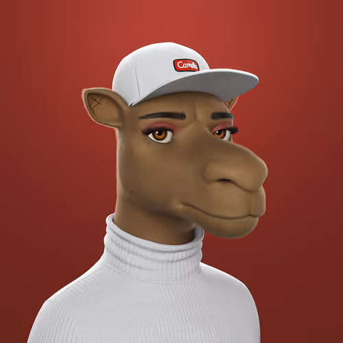 3dcamels 1