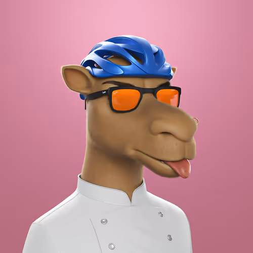 3dcamels 1