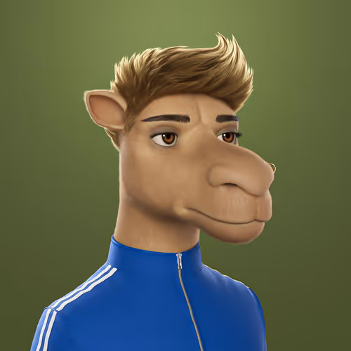 3dcamels 1
