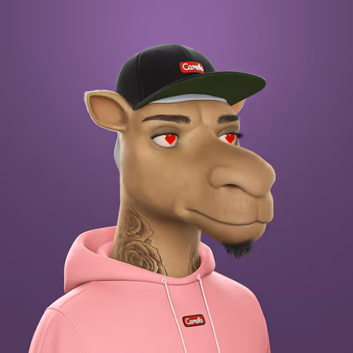 3dcamels 1