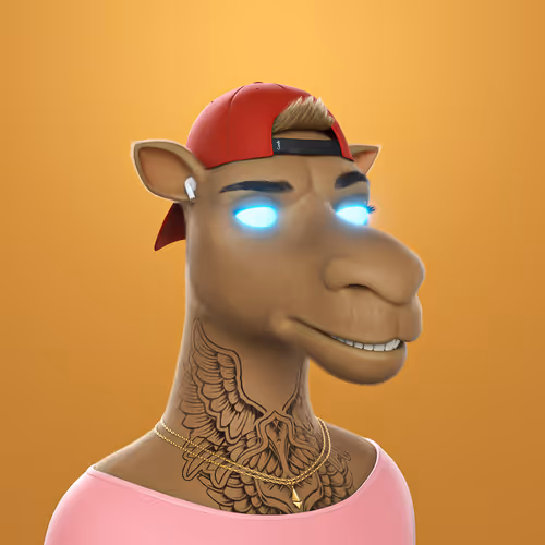 3dcamels 1