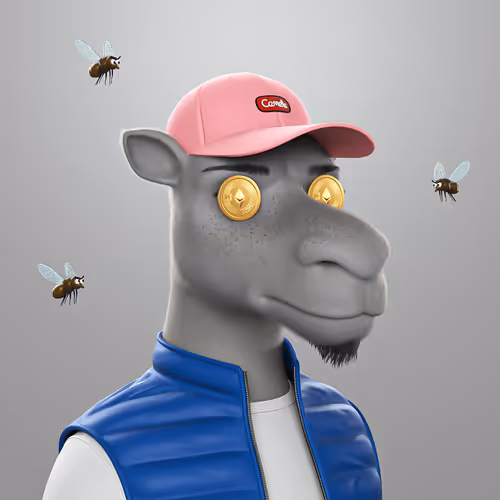 3dcamels 1