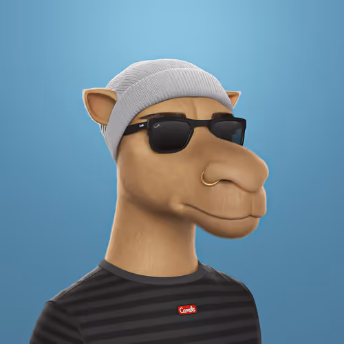 3dcamels 1