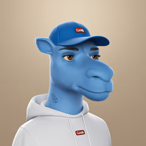 3dcamels 1