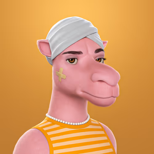 3dcamels 1
