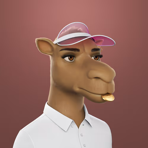 3dcamels 1