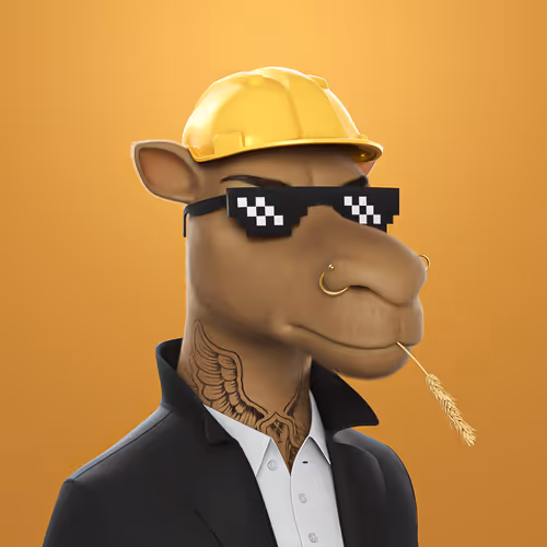 3dcamels 1