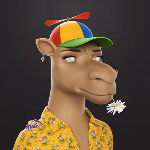 3dcamels 1