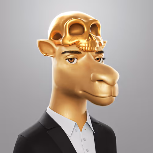 3dcamels 1