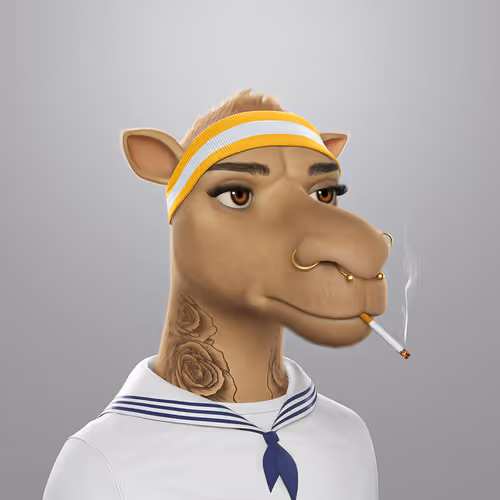 3dcamels 1