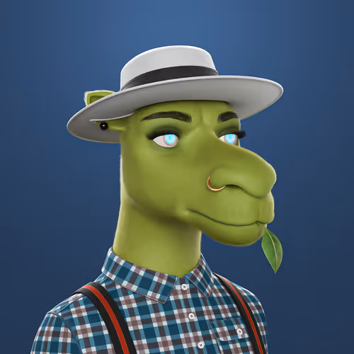 3dcamels 1