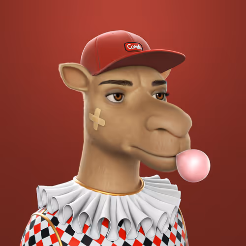 3dcamels 1
