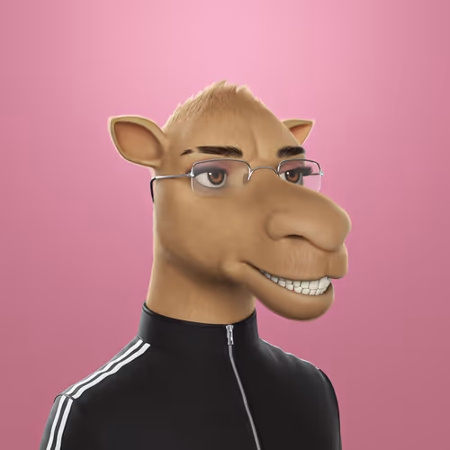 3dcamels 1