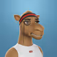 Camel 3D #1047