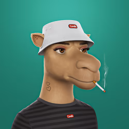 3dcamels 1