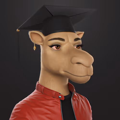 3dcamels 1