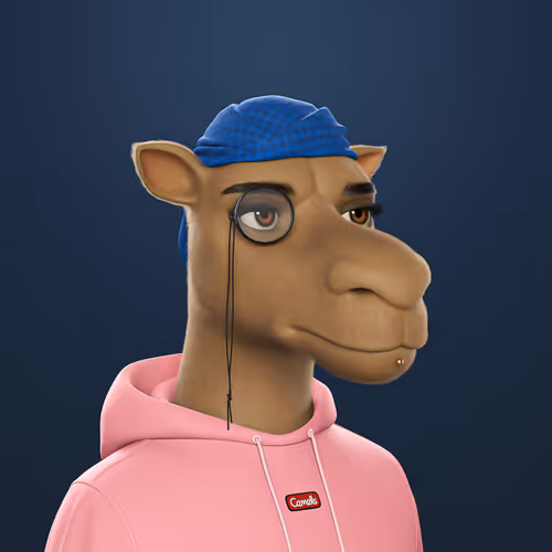 3dcamels 1