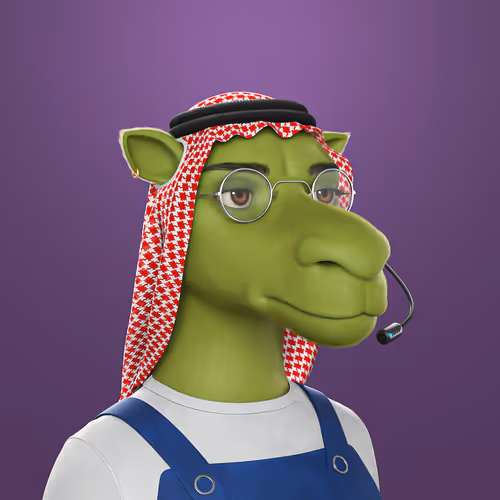 3dcamels 1