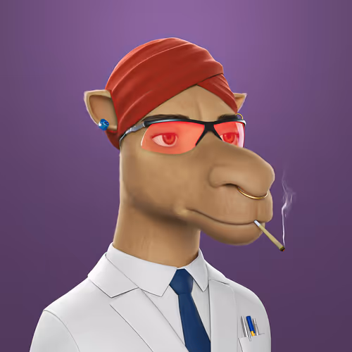 3dcamels 1